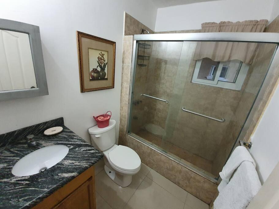 Central Upscale New Kingston Apt With Pool المظهر الخارجي الصورة