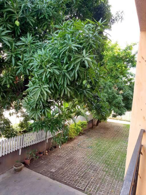 Central Upscale New Kingston Apt With Pool المظهر الخارجي الصورة